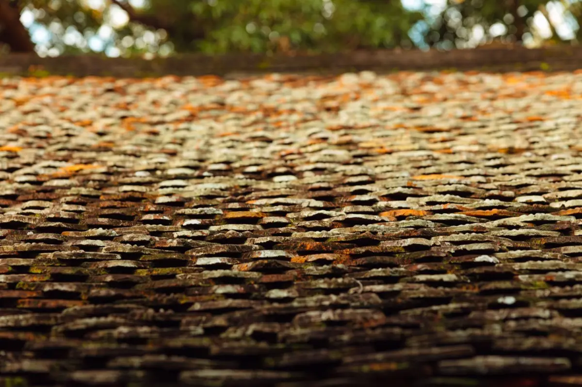 Roof Coatings and Sealing in Appleton, WI